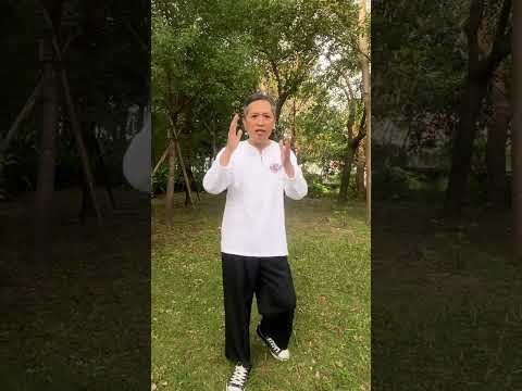 🌌 鄭曼青祖師爺太極拳三階九級學習法｜從地、人、天三層境界全面理解太極之道