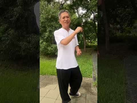 🌱 我練太極拳，不是為了練武術，我想理解太極健康的原理