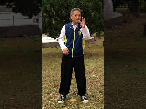 太極拳的「氣」到底是什麼？其實一點都不神秘